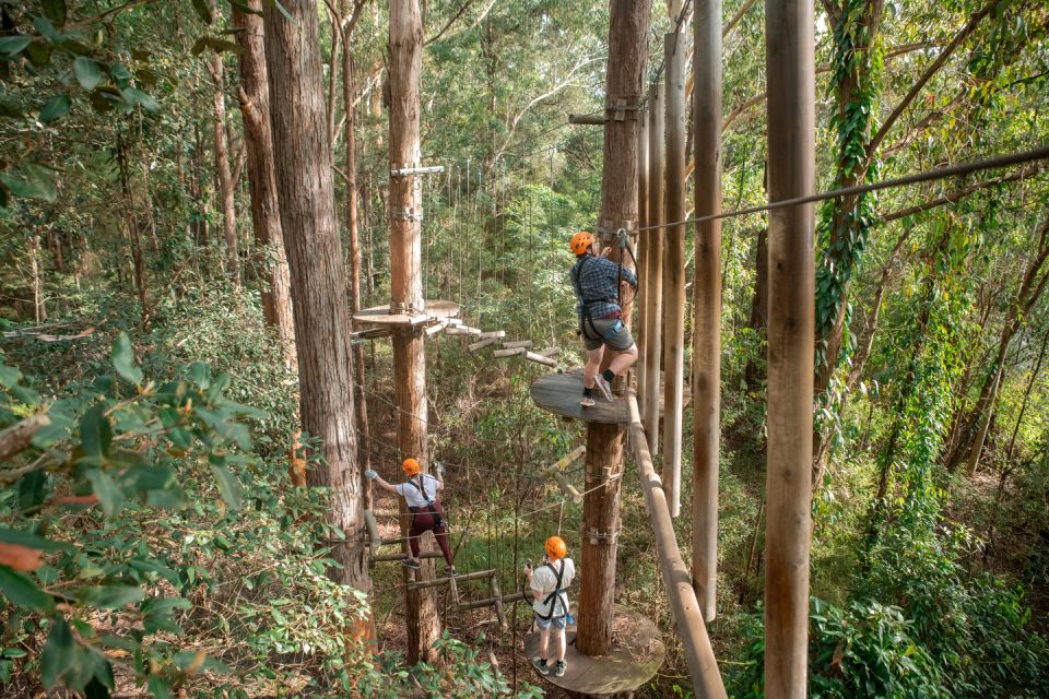 Ourimbah: Central Coast Treetops Adventure Tree Ropes Course - Duration and Instructor