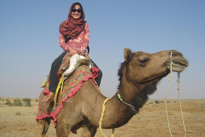 Over Night Desert Adventure Camel Safari - Traveler Reviews