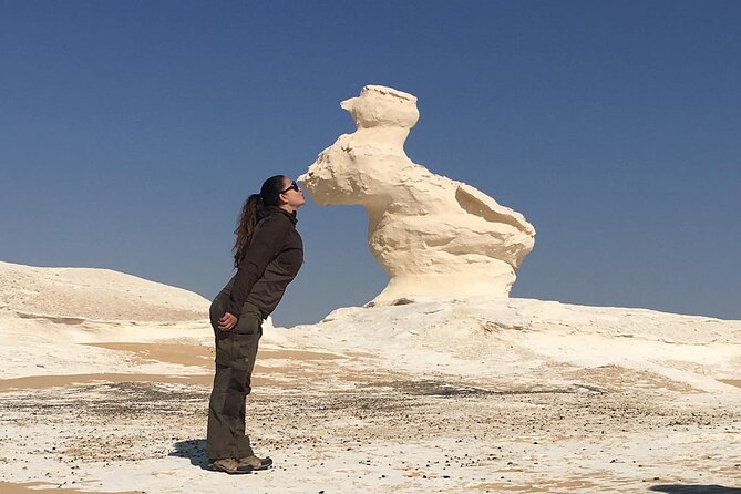 Overnight Tour To Bahariya Oasis Visit Black And White Desert From Cairo - Inclusions and Exclusions