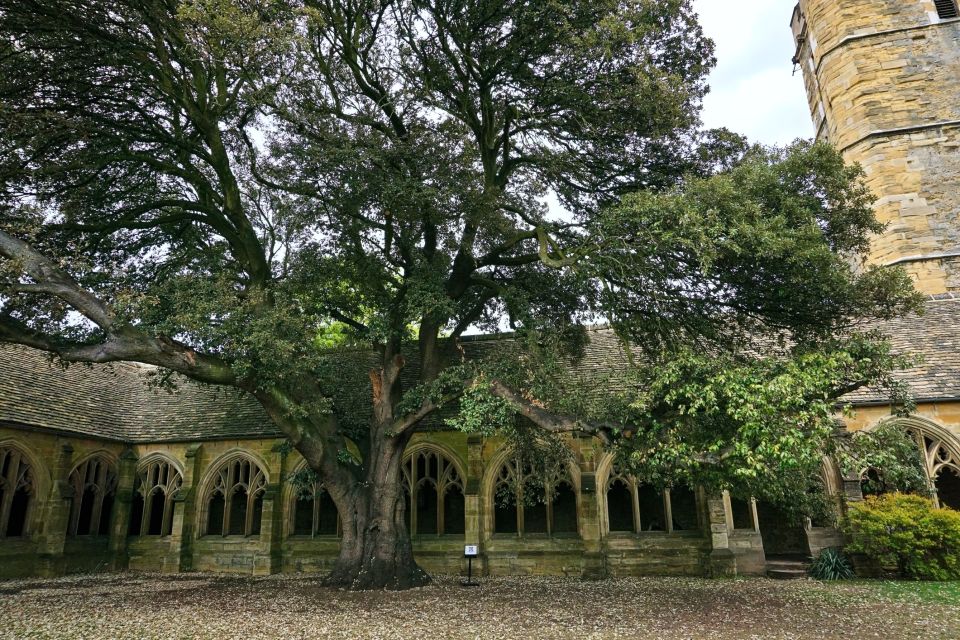 Oxford: Harry Potter Film Tour Led by University Alumni - Activity Description