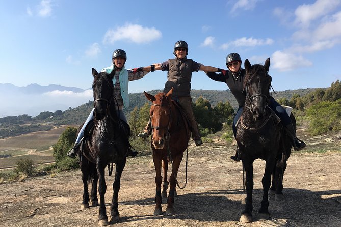Paarl Horseback Riding Tour  - Stellenbosch - Participant Requirements and Restrictions