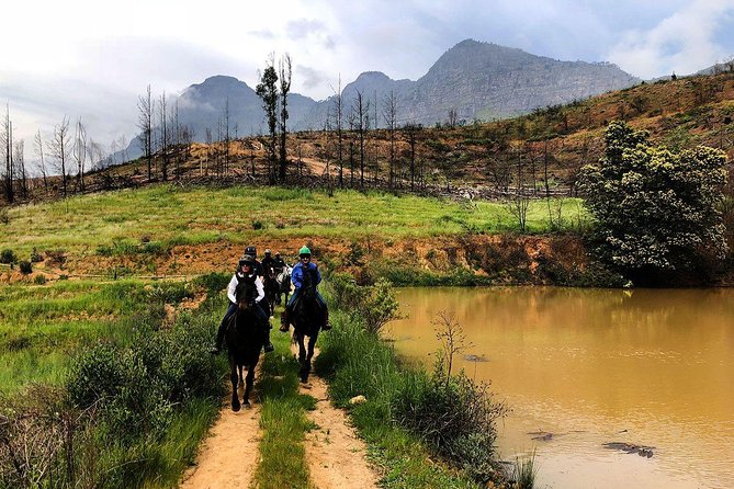 Paarl Small-Group Horseback Riding Tour  - Stellenbosch - Tour Highlights