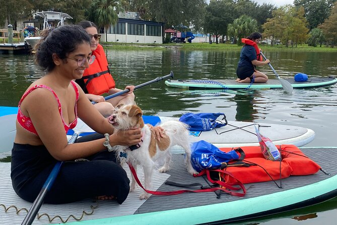 Paddleboarding With Dogs and Rabbits  - Orlando - Meeting Point Information