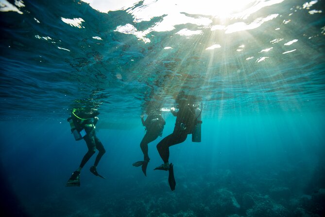 PADI Advanced Open Water Course - Pickup and Transportation