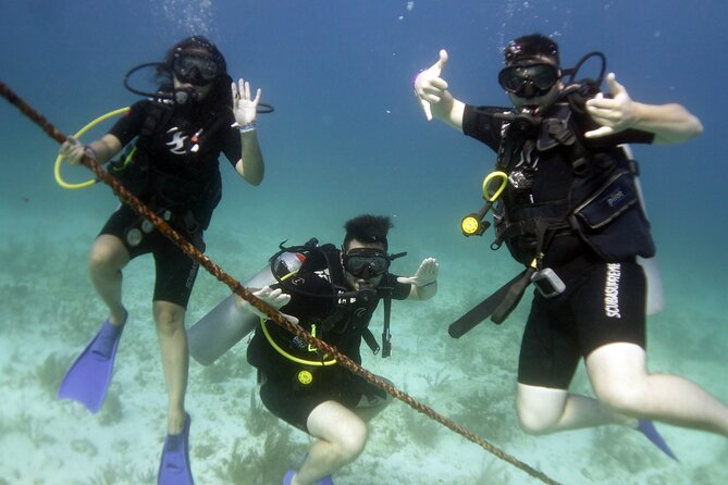 PADI Discover Scuba Diving for Divers Without Certification - Meeting and Pickup Details