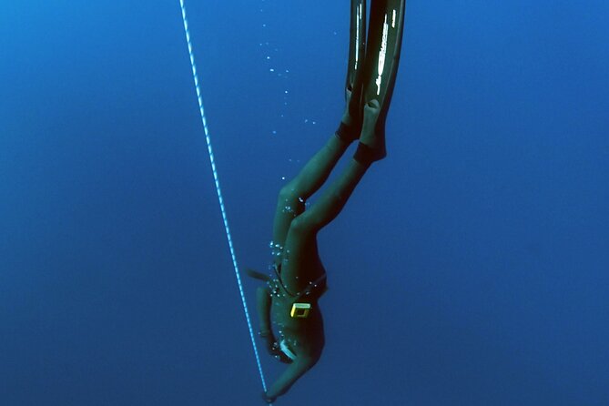 PADI Freediver Course - Course Inclusions