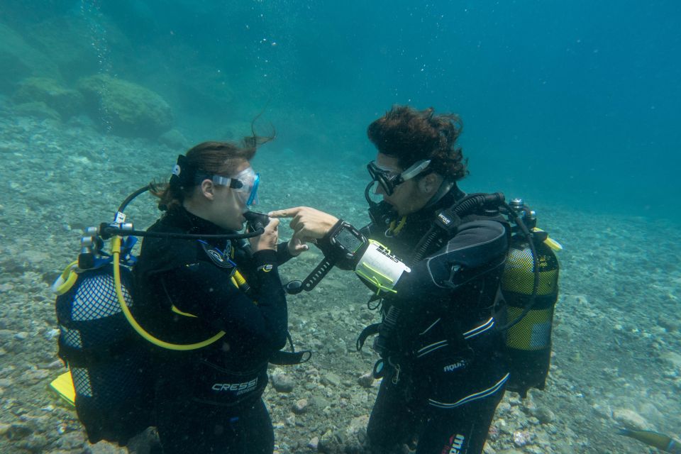 PADI ReActivate Course - Activity Details