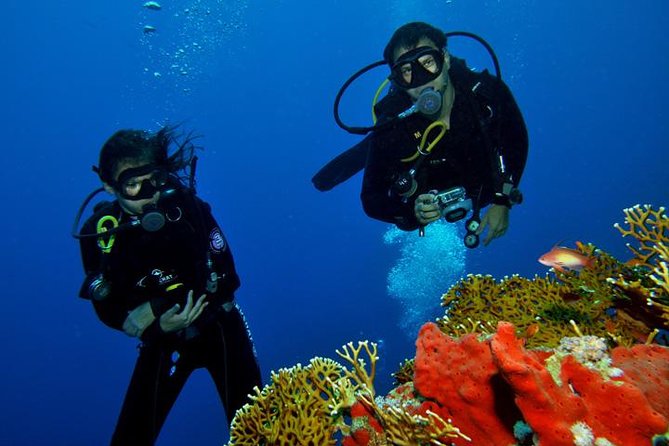 PADI Scuba Diver Session for Beginner in Sharm El Sheikh - Requirements and Health Safety