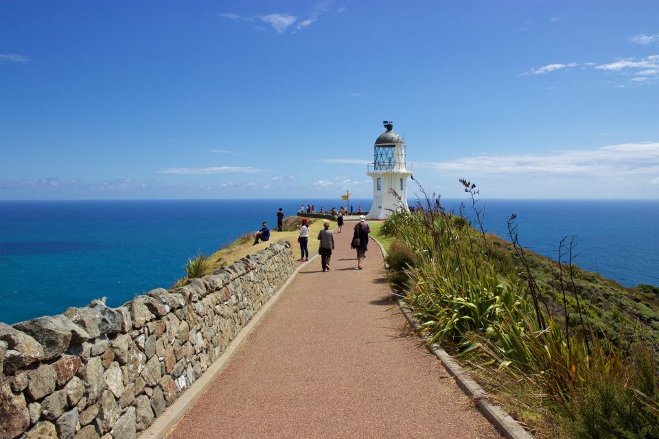 Paihia: Cape Reinga and Ninety Mile Beach Trip With Lunch - Experience Highlights