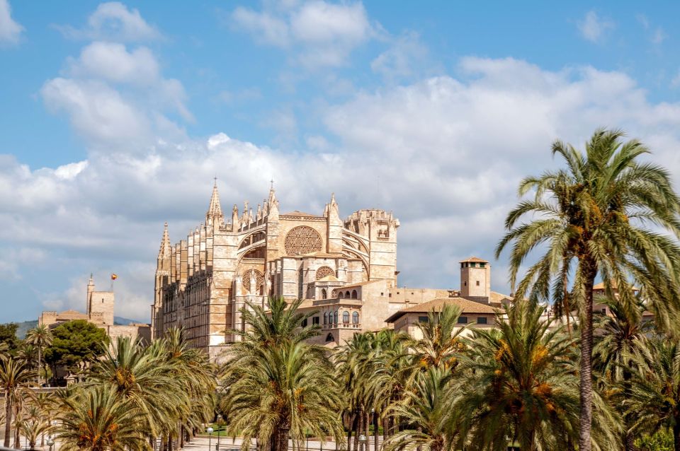 Palma De Mallorca: City Sightseeing Hop-On Hop-Off Bus Tour - Activity Information
