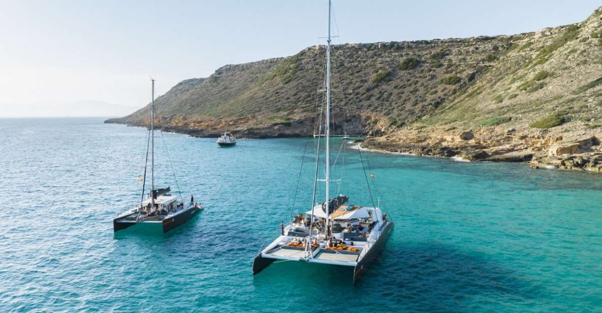 Palma De Mallorca: Half-Day Catamaran Tour With Buffet Meal - Activities and Experience Highlights