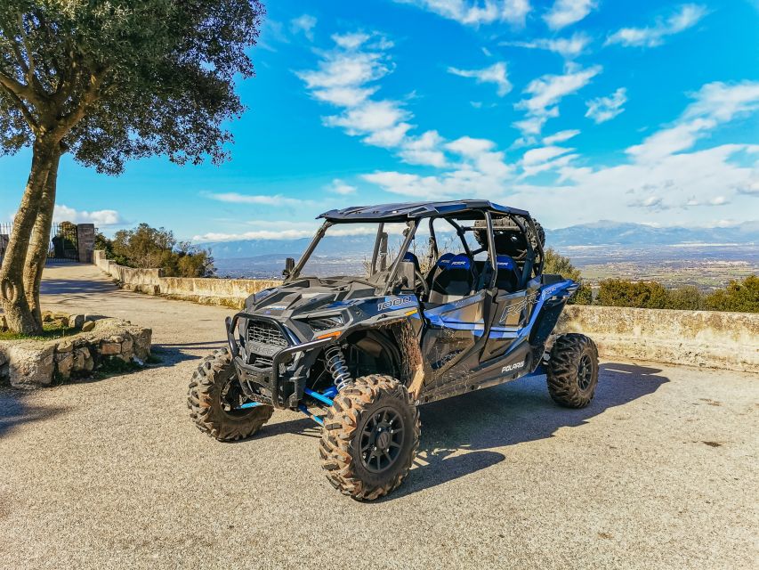 Palma De Mallorca: Off/On Road Buggy Tour With 2 or 4 Seater - Participant Requirements