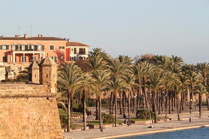 Palma De Mallorca Private Walking Tour With Tour Guide - Tour Itinerary
