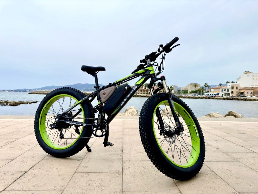 Palma: Guided City Tour With a Fat Tire E-Bike - Experience Highlights