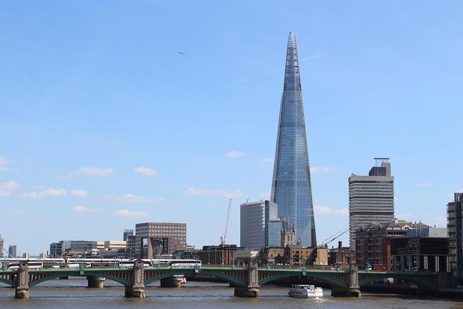 Panoramic Tour of London by Private Black Taxi - Transportation Details