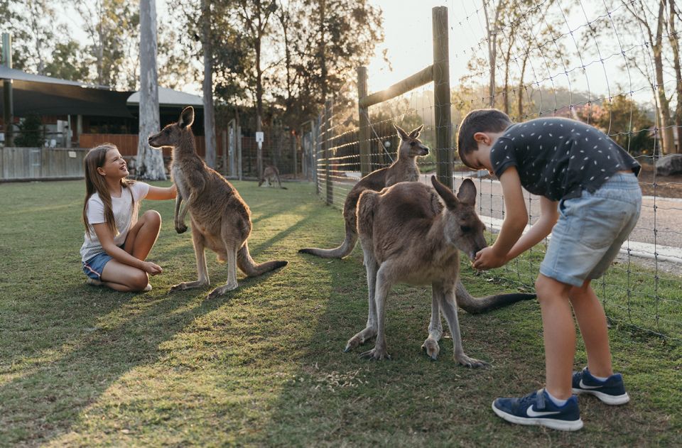 Paradise Country: Ultimate Aussie Farm Experience - Inclusions