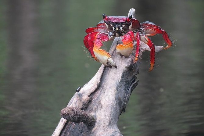 Paraty Sea Kayak Trip (2 Days) - Equipment Provided