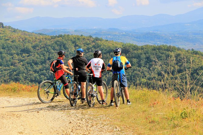 Parenzana Trail Full Day Cycling Tour From Pula, Rovinj, Poreč or Buje - Pickup and Departure Information