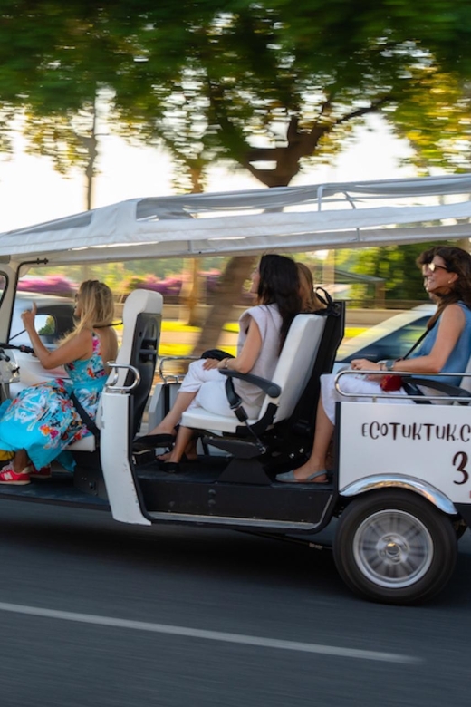 Paris: City Tour by Private Eco Tuk-Tuk - Tour Highlights