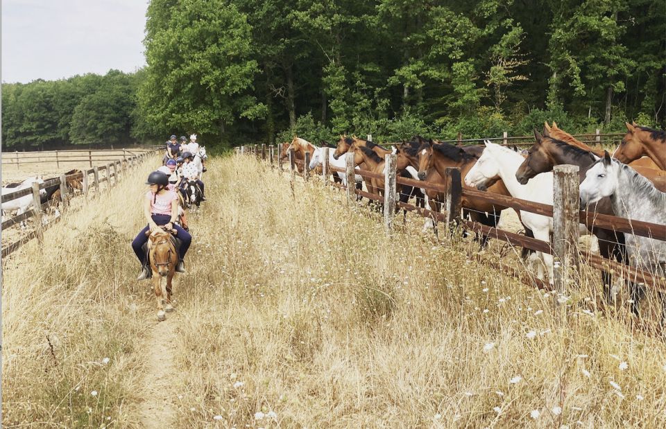 Paris : Horse Riding Camp With English Lessons in Senonches - Experience Highlights