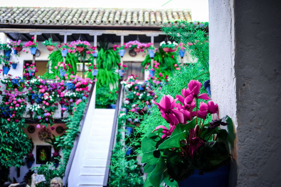 Patios of Cordoba Walking Tour - Pricing and Duration