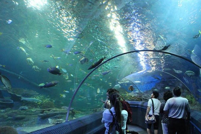 PATTAYA: Join Tour Under Water World Pattaya - Destination Highlights