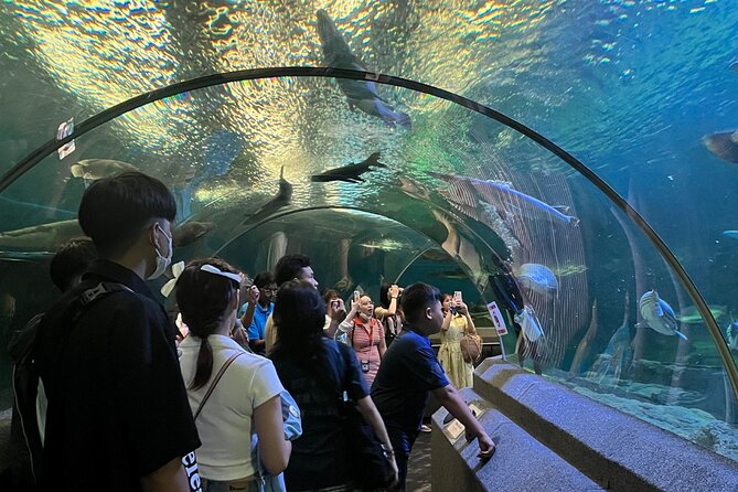 Pattaya Underwater World Entrance Ticket - Booking Process and Requirements