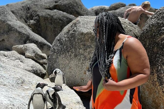 Penguin Watching & Beach Day at Boulders Beach, Cape Town - Beach Activities and Relaxation