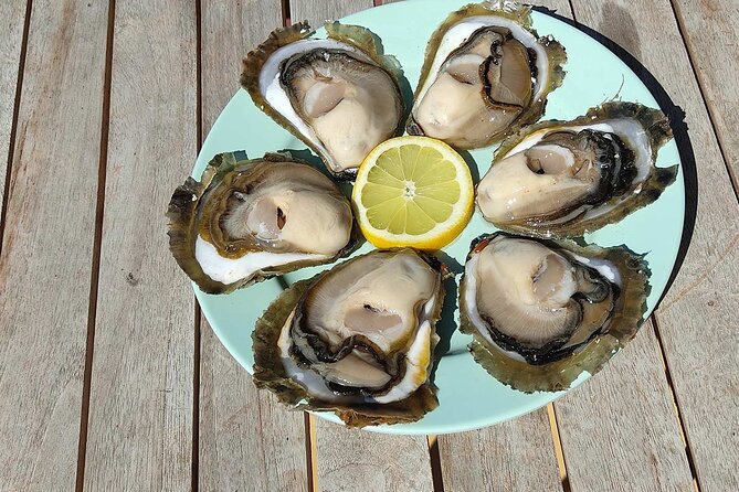 Perfect Private Oyster and Wine Tasting With Boat Ride - Oyster Farming History