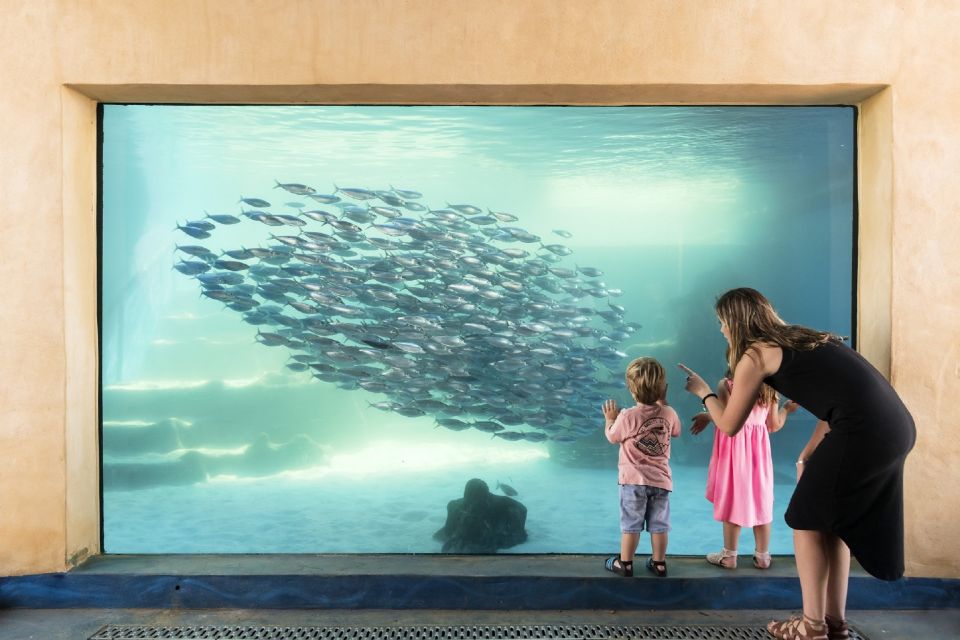 Perth: AQWA Aquarium of Western Australia Entry Tickets - Cancellation Policy and Validity