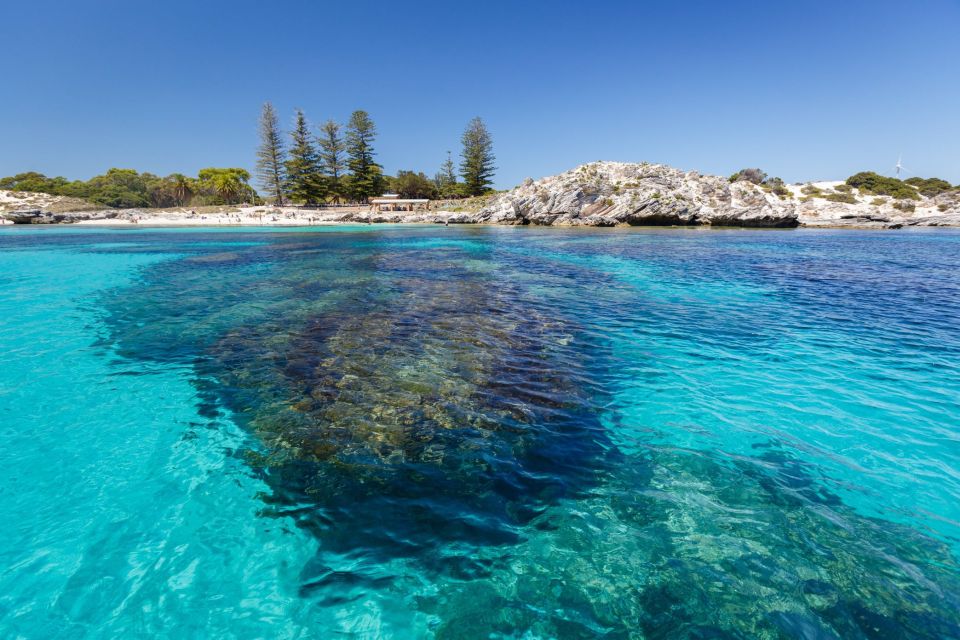 Perth: Rottnest Island Ferry Round-Trip Ticket - Experience Highlights and Vessel Features