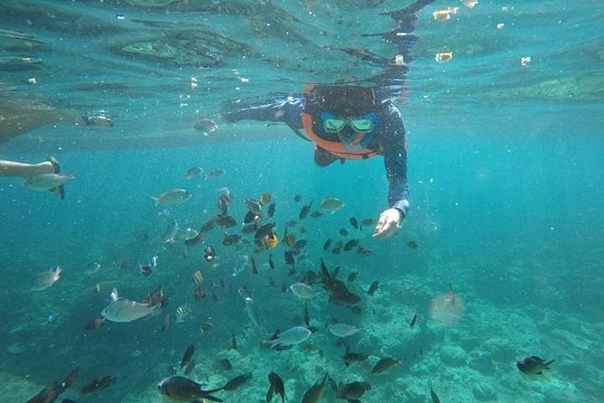 Pescador Island With Sardines & Turtle and Kawasan Canyoneering - Tour Pricing and Variations