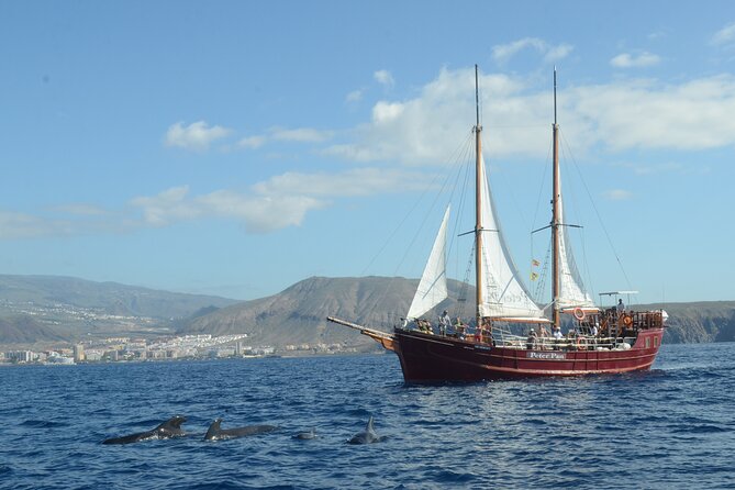 Peter Pan Pirate Boat Trip in Tenerife - What to Expect