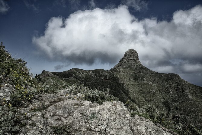 Photography Workshop Tenerife I Anaga I Laurel Forest I Benijo - Workshop Inclusions