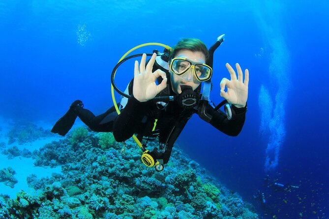 Phuket Scuba Diving and Snorkeling Offshore 2 Islands Full-Day by Speed Boat - Diving Experience