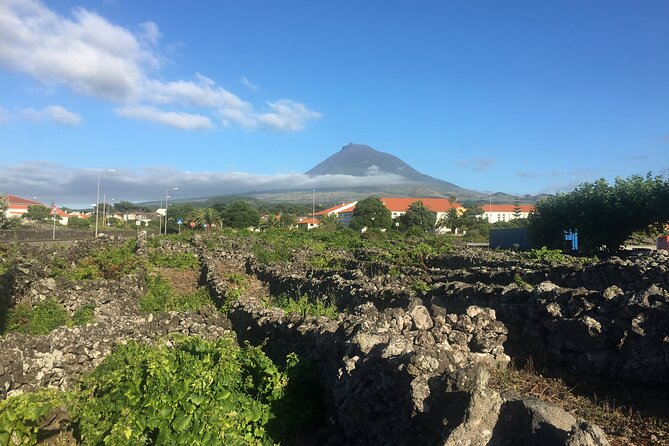 Pico Girl Power Wine Tasting and Cultural Experience - Itinerary Breakdown