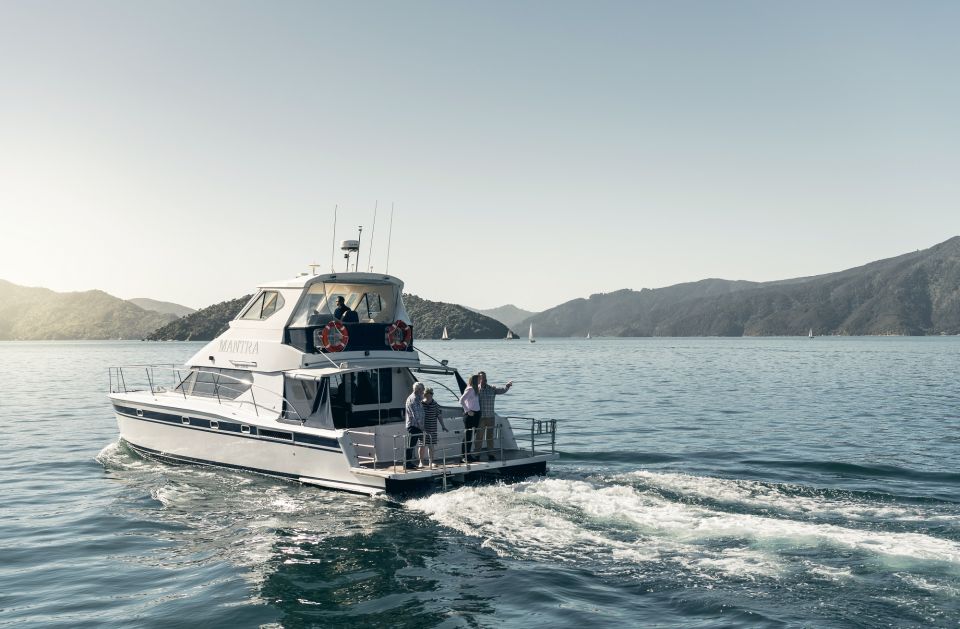 Picton and Marlborough Sounds: Seafood Odyssea Cruise - Experience Highlights