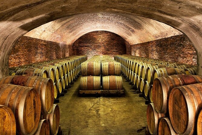 Piemonte Vineyards by Yourself From Turin by Luxury Van With English Chauffeur - Questions and Assistance