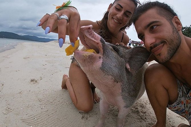 Pig Island Private Beach Full Day From Koh Samui - Thai Version of the Bahamas - Booking and Cancellation Policies