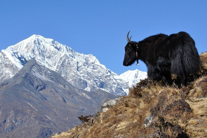 Pikey Peak Trek Everest View - Best Time to Visit