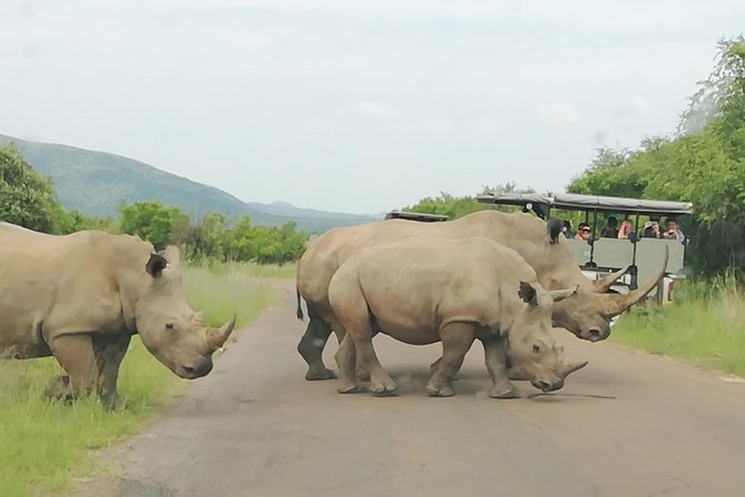 Pilanesberg National Park 3-Day Safari With Accommodation  - Johannesburg - Customer Support Information