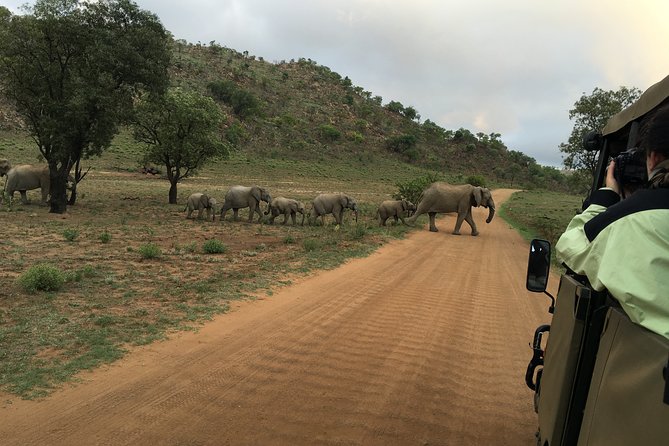 Pilanesberg National Park Safari From Johannesburg - Inclusions and Exclusions