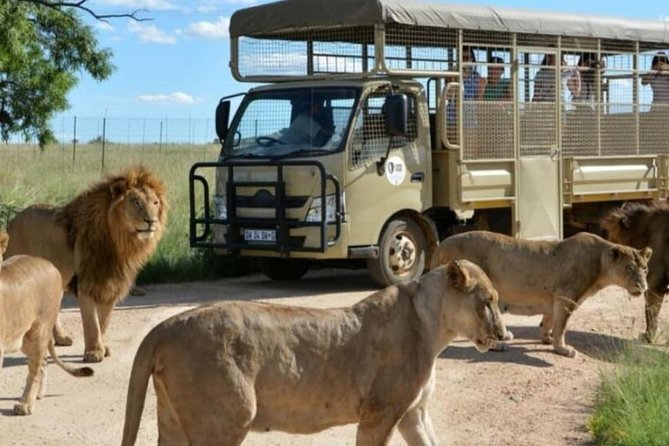 Pilanesberg Nature Reserve & Lion & Rhino Park Private - Experience Highlights