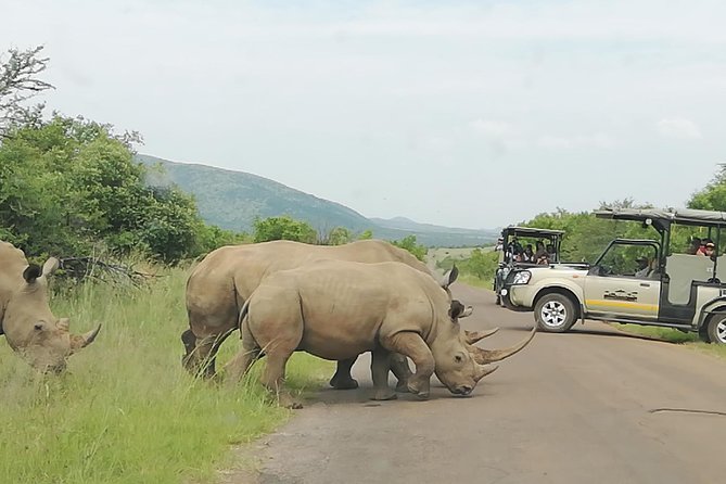 Pilannesburg Game Reserve and Sun City Full Day Tour From Johannesburg Private - Tour Highlights and Inclusions