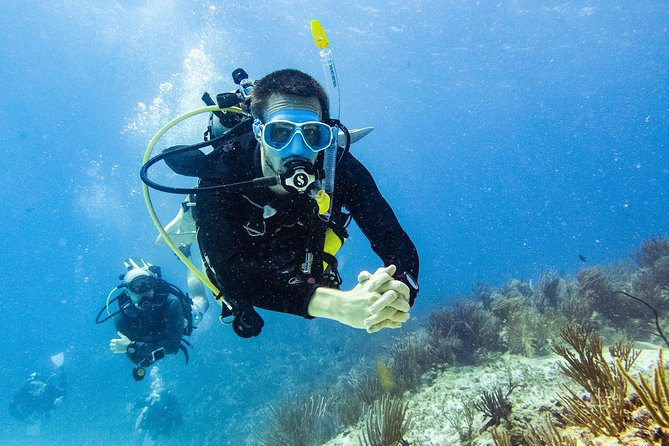 Playa Del Carmen: PADI Discover Scuba Diving With Instructor - Logistics and Meeting Point Details