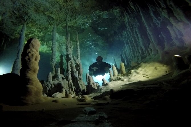 Playa Del Carmen Private Cenote Two Dives for Certified Divers - Equipment Included