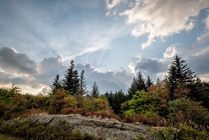 Plitvice Lakes Day Trip From Split  - Asheville - Important Details to Note