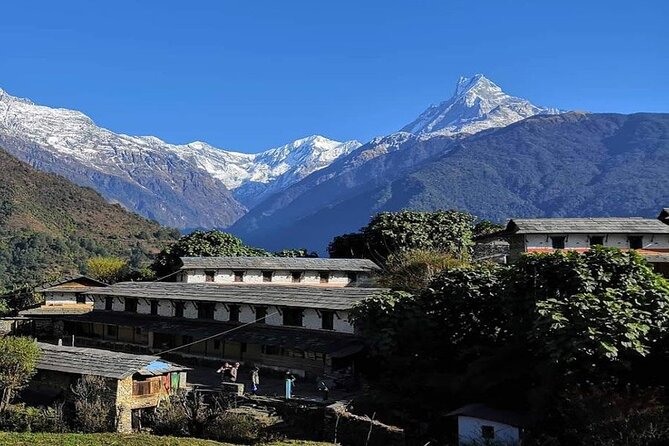 Pokhara 5 Day Private Trek to Mohare Danda - Pickup Information