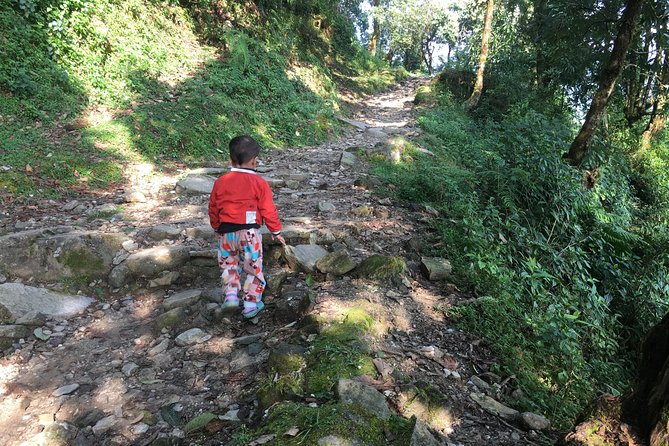Pokhara: Day Hiking Form Dhampus to Australian Camp - Trail Difficulty and Terrain