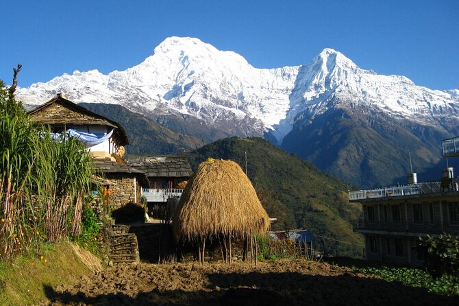 Pokhara: Dhampus Easy Trek for Families With Youngkids 2 Day Tour - Accommodation